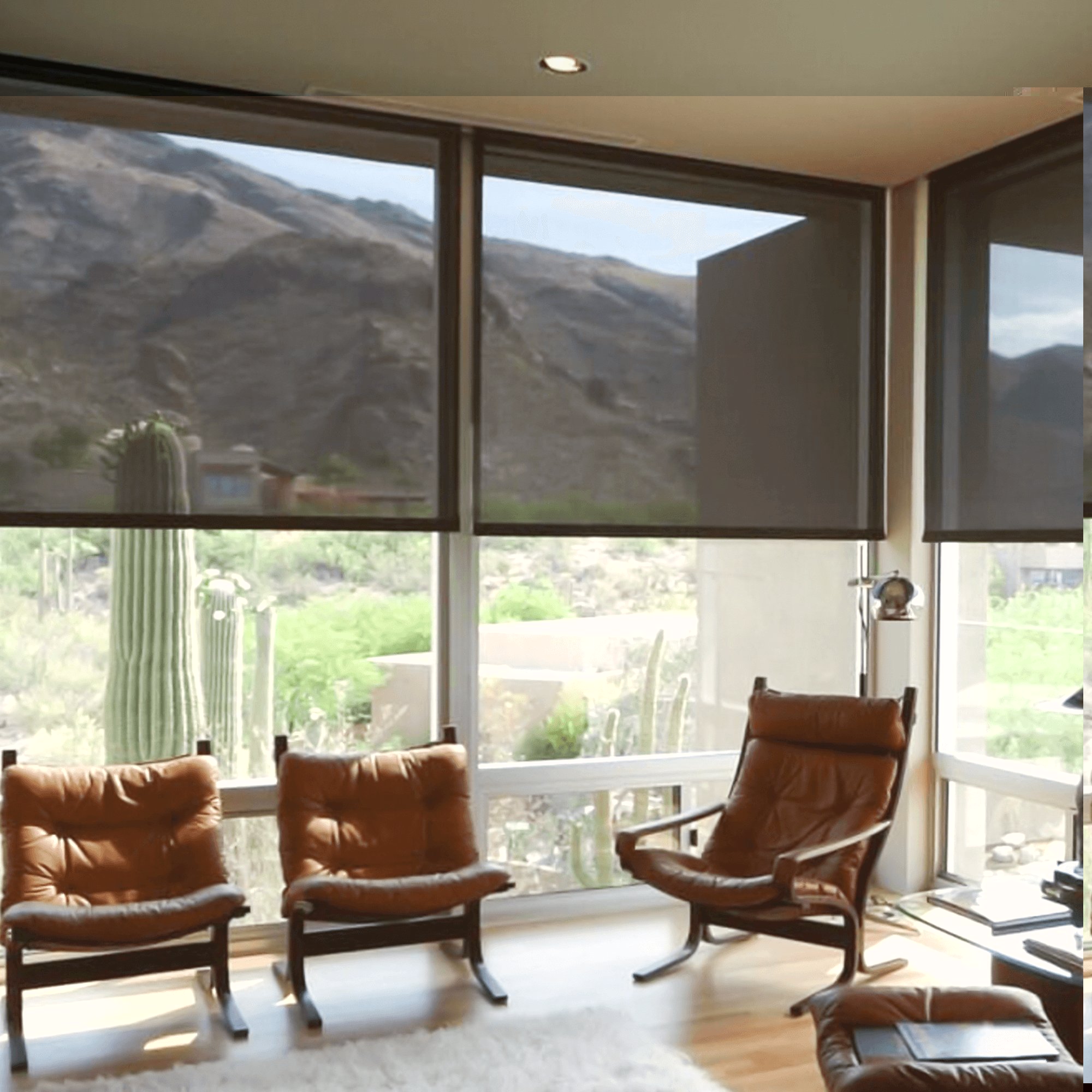 Roller Shades